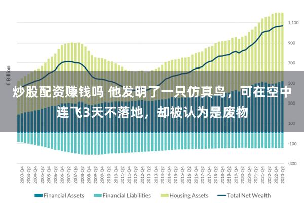 炒股配资赚钱吗 他发明了一只仿真鸟，可在空中连飞3天不落地，却被认为是废物