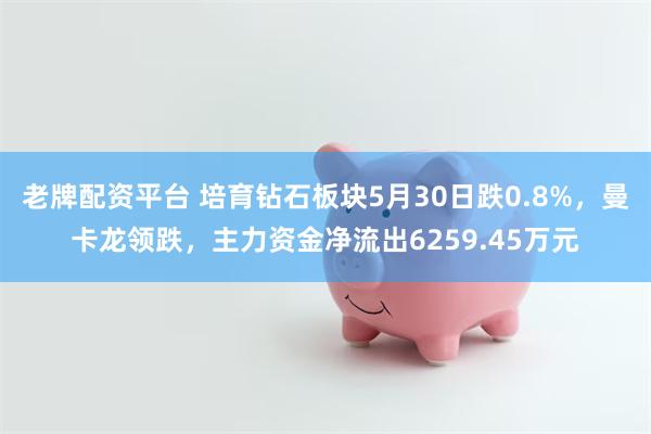 老牌配资平台 培育钻石板块5月30日跌0.8%，曼卡龙领跌，主力资金净流出6259.45万元