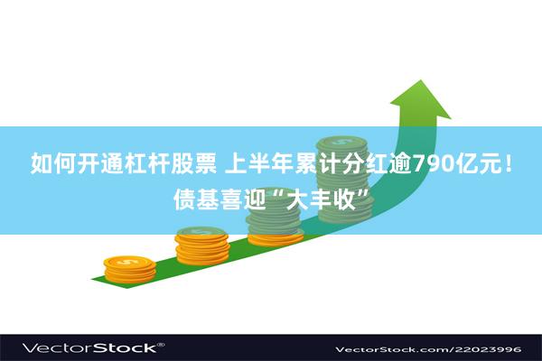 如何开通杠杆股票 上半年累计分红逾790亿元！债基喜迎“大丰收”