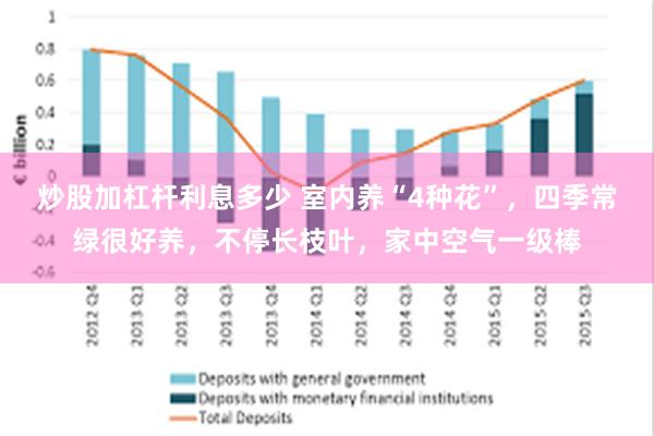 炒股加杠杆利息多少 室内养“4种花”，四季常绿很好养，不停长枝叶，家中空气一级棒