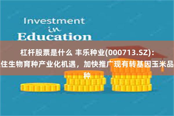 杠杆股票是什么 丰乐种业(000713.SZ)：抓住生物育种产业化机遇，加快推广现有转基因玉米品种