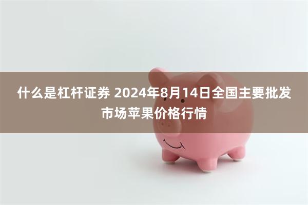 什么是杠杆证券 2024年8月14日全国主要批发市场苹果价格行情