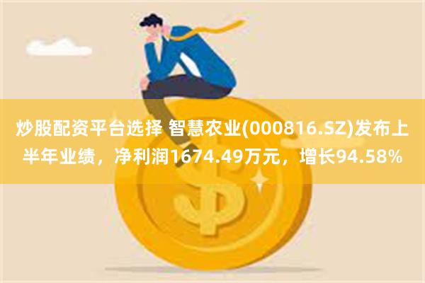 炒股配资平台选择 智慧农业(000816.SZ)发布上半年业绩，净利润1674.49万元，增长94.58%