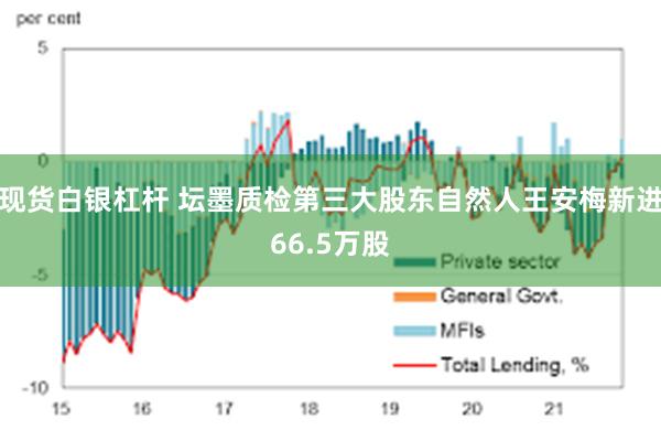 现货白银杠杆 坛墨质检第三大股东自然人王安梅新进66.5万股