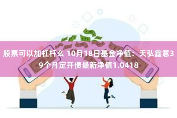 股票可以加杠杆么 10月18日基金净值：天弘鑫意39个月定开债最新净值1.0418