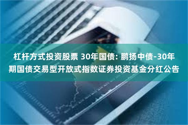 杠杆方式投资股票 30年国债: 鹏扬中债-30年期国债交易型开放式指数证券投资基金分红公告