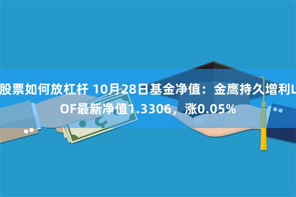 股票如何放杠杆 10月28日基金净值：金鹰持久增利LOF最新净值1.3306，涨0.05%