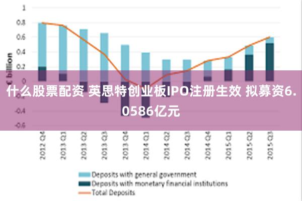 什么股票配资 英思特创业板IPO注册生效 拟募资6.0586亿元