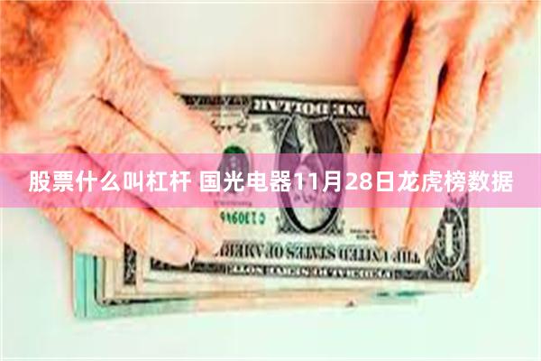 股票什么叫杠杆 国光电器11月28日龙虎榜数据